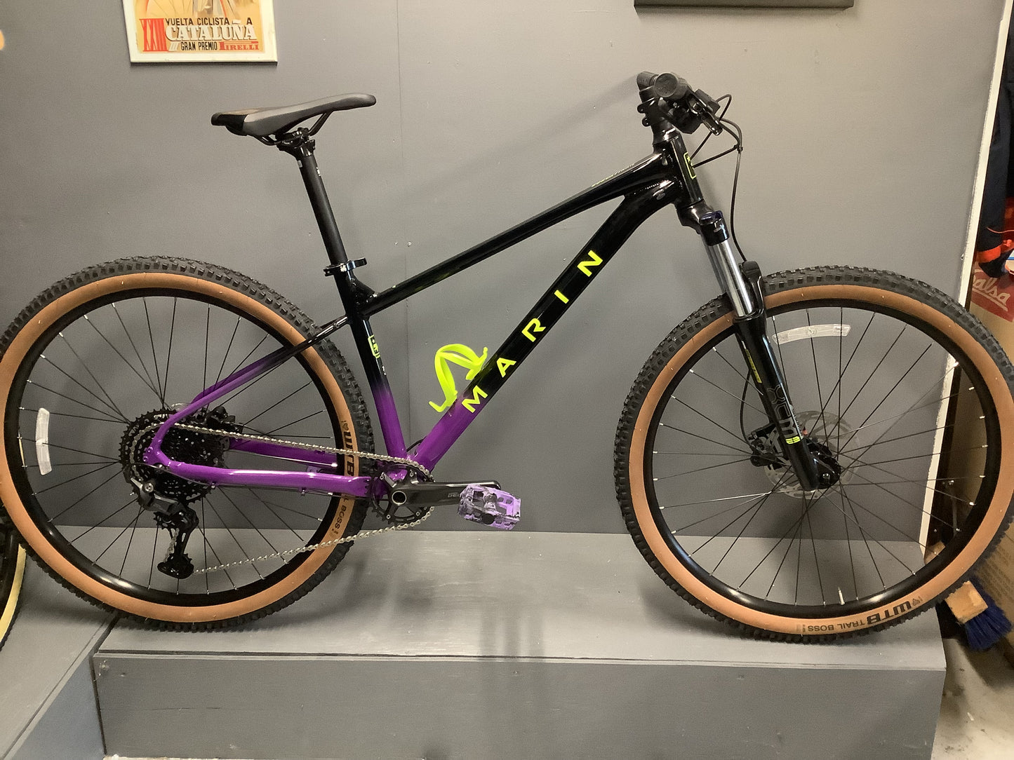 Marin Bobcat Trail 4 2025