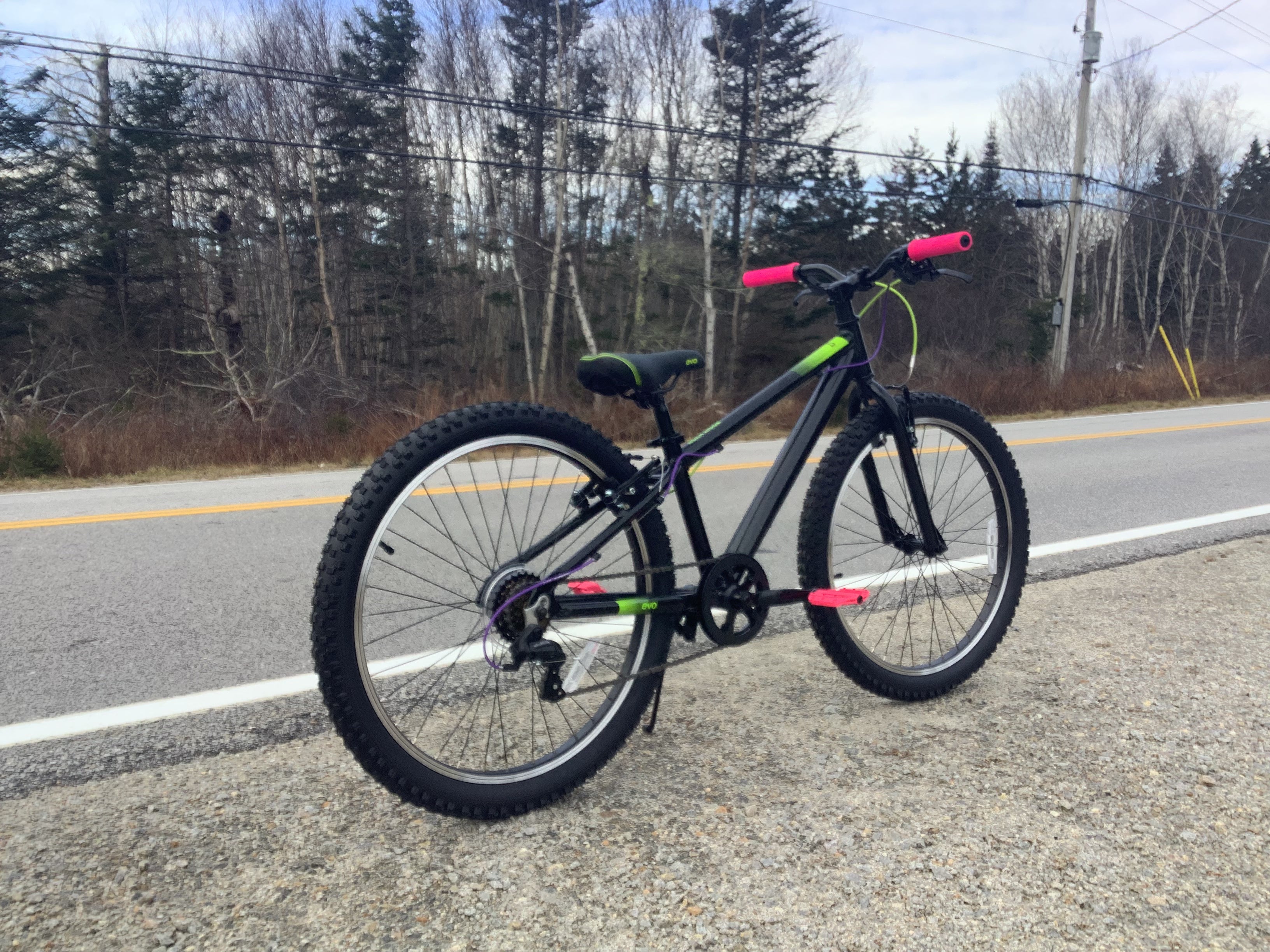 Nakamura agyl 24 junior mountain hot sale bike 2019