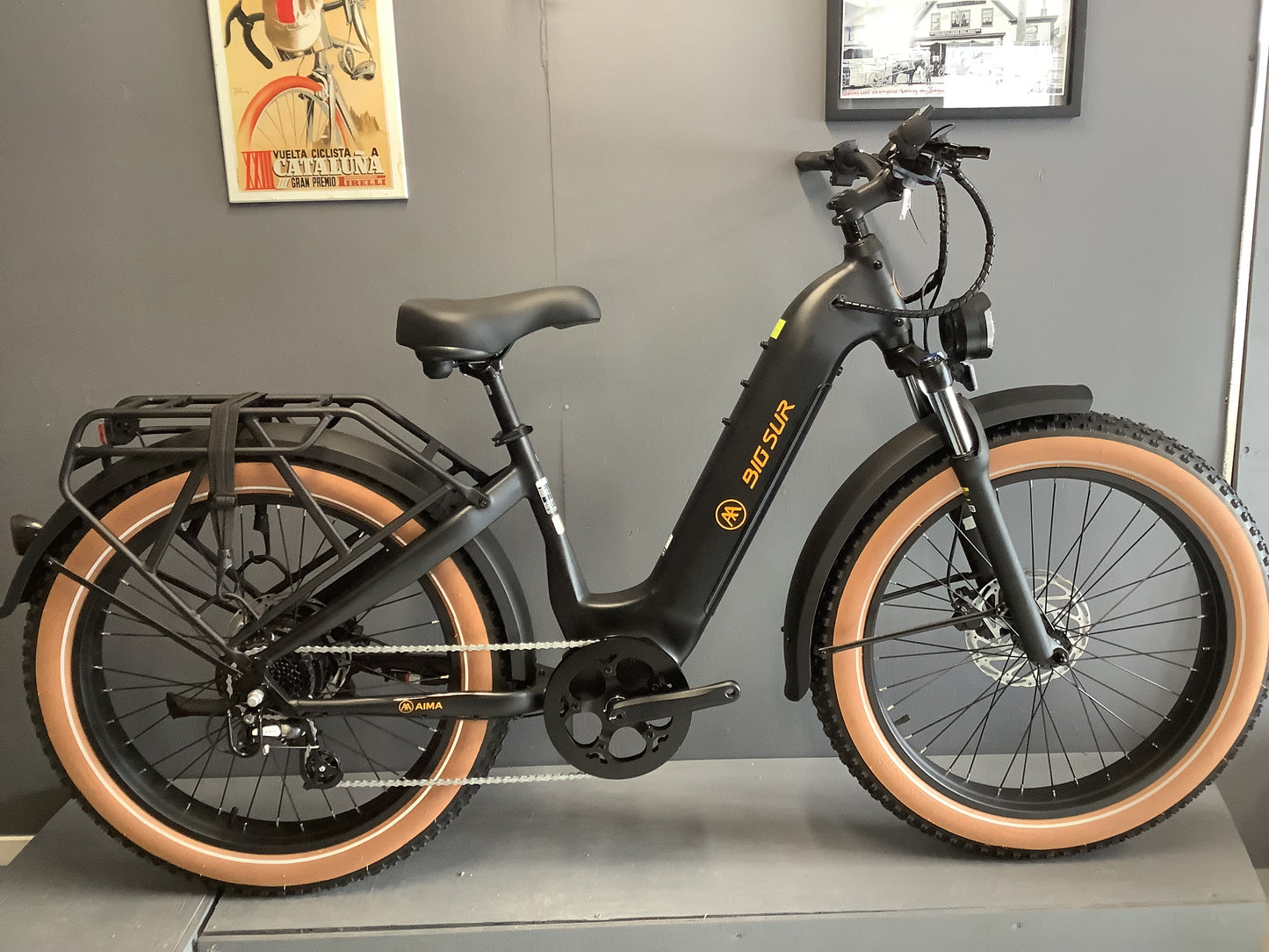 Big Sur E-bike