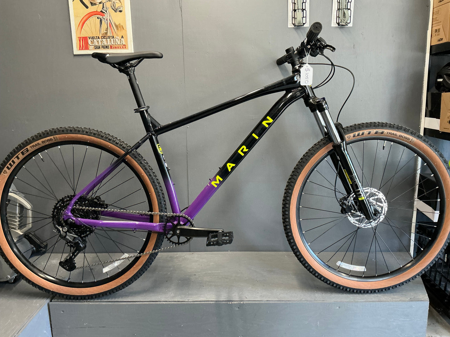 Marin Bobcat Trail 4