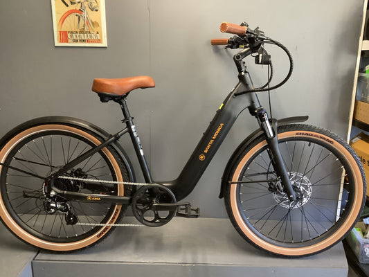 AIMA Santa Monica E-bike