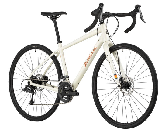 Salsa Journeyer 700c